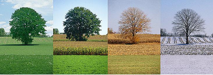 外媒发文称《星刃》过于迎合“男性凝视” 这不正确